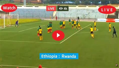 African Nations Championship 2022 Live Scores, Results & Odds .